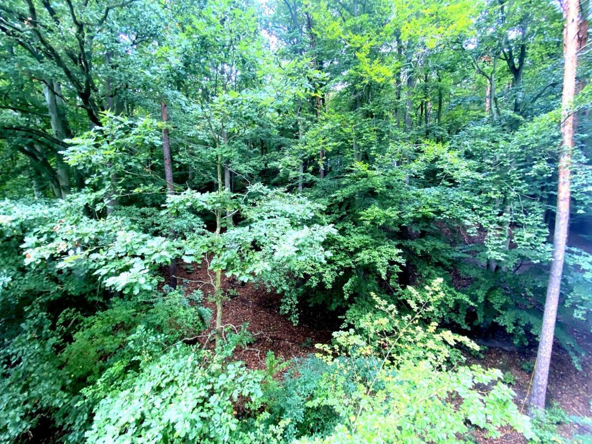 Forest - 23 Marca Sopot By Grand Apartments מראה חיצוני תמונה